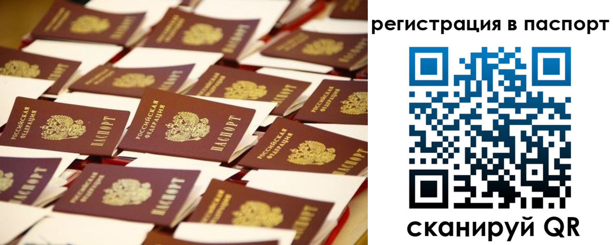 прописка гарантия в Пересвете